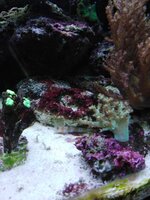 IMG_20210323_203043.jpg