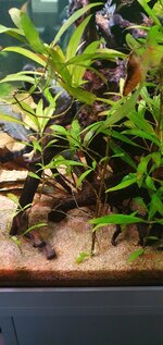20210326_181829.jpg