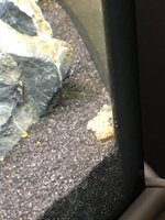 20210411 Eitjes 1.jpeg