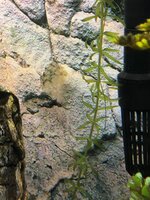 20210411 Eitjes 2.jpeg