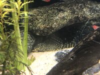 IMG_2708.JPEG