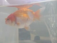 WhatsApp Image 2021-04-30 at 15.18.21.jpeg