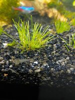 20210503_230939.jpg