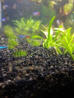 20210503_230821.jpg