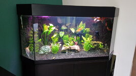 aquarium.jpg