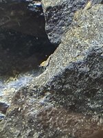 20210515_194205.jpg