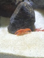 20210515_194925.jpg