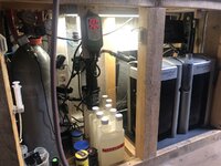 IMG_2767.JPEG