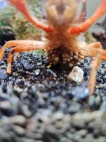 20210520_094653.jpg