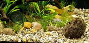 20210520_163643.jpg