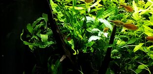 20210520_163606.jpg