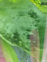 20210528_123625.png