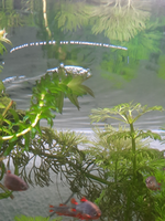 20210528_123735.png