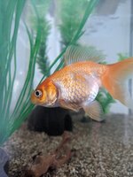 PXL_20201118_121302375.jpg