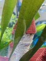 IMG_20210609_192526.jpg