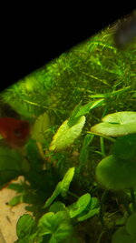 20210627_141928.jpg