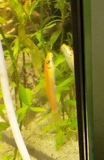 IMG_20210629_160210 copy.jpg