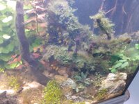 20210708_165758.jpg