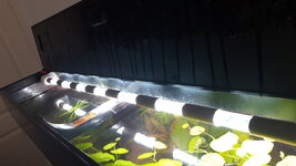 20210710_184244.jpg