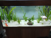 AquariumLeopold.jpg