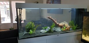 20200530_133306 (1).jpg