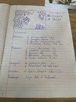 C7E878FB-E3CF-48AD-A73E-4C6BEB175125.jpeg