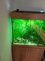 20210721_203735.jpg