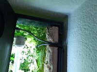 20210721_203744.jpg