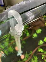 35841498-DDE5-49A8-BDDD-0AF9EFC109C2.jpeg 35841498-DDE5-49A8-BDDD-0AF9EFC109C2.jpeg