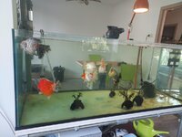 20210814_173551.jpg