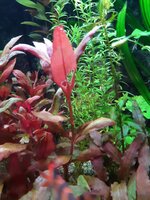 20210823_230408.jpg