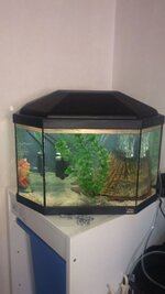 WhatsApp Image 2021-09-05 at 07.06.56 (1).jpeg