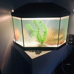 WhatsApp Image 2021-09-05 at 07.06.56.jpeg