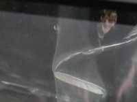 WhatsApp Image 2021-09-26 at 18.02.39 (1).jpeg