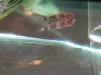 WhatsApp Image 2021-09-26 at 18.02.39 (2).jpeg