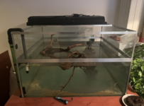 Screenshot 2021-10-24 at 18.51.47.png