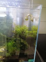 IMG_20211026_174356.jpg