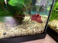 253611632_910115752968008_6694185672727721144_n (1).jpg