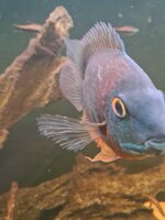 WhatsApp Image 2021-11-30 at 15.17.28.jpeg