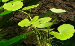 IMG_20211219_134230~3.jpg