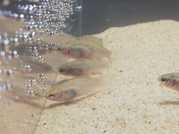 WhatsApp Image 2021-12-23 at 18.54.12 (1).jpeg