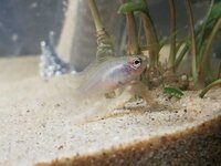 WhatsApp Image 2021-12-23 at 18.54.12.jpeg