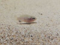 WhatsApp Image 2021-12-23 at 18.54.11 (2).jpeg