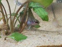 WhatsApp Image 2021-12-23 at 18.54.11 (1).jpeg