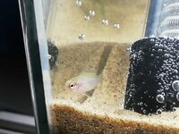 WhatsApp Image 2021-12-23 at 18.54.11.jpeg