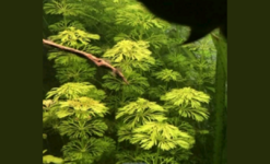 Screenshot_20220102-221134.png