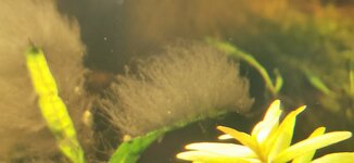 IMG_20220110_180815.jpg