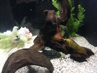 IMG_0073.JPG