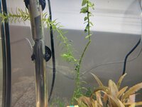 20220125_235101.jpg