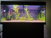 IMG20220126152213.jpg